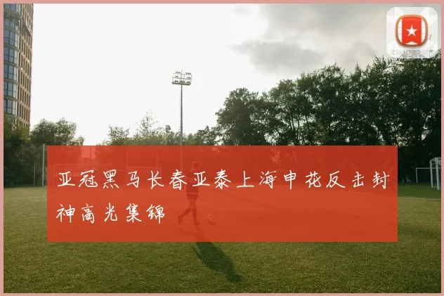 亚冠黑马长春亚泰上海申花反击封神高光集锦