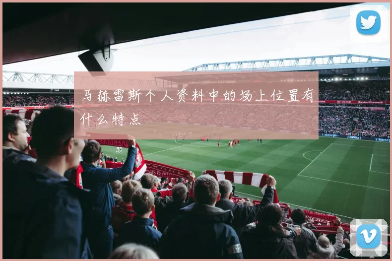 马赫雷斯个人资料中的场上位置有什么特点