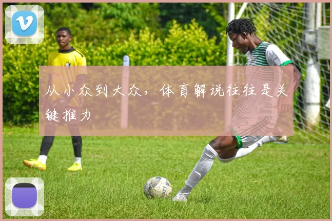 从小众到大众，体育解说往往是关键推力