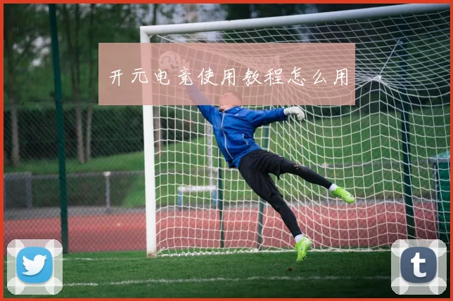 开元电竞使用教程怎么用